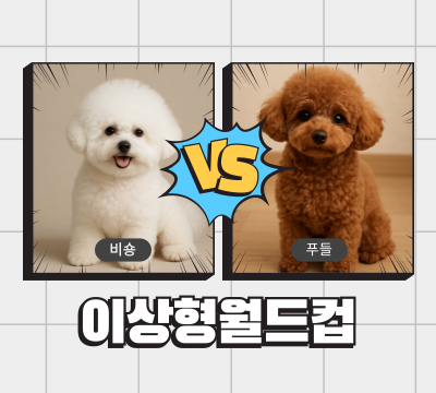 carousel slide image